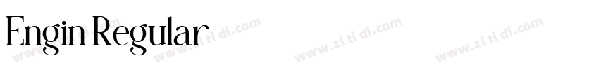 Engin Regular下载字体转换